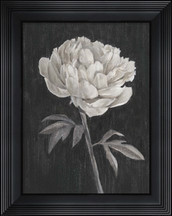 Framed Black and White Flowers I Print
