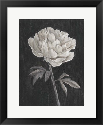 Framed Black and White Flowers I Print