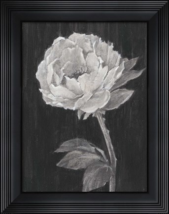 Framed Black and White Flowers II Print