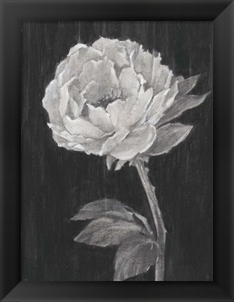 Framed Black and White Flowers II Print