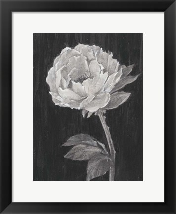 Framed Black and White Flowers II Print