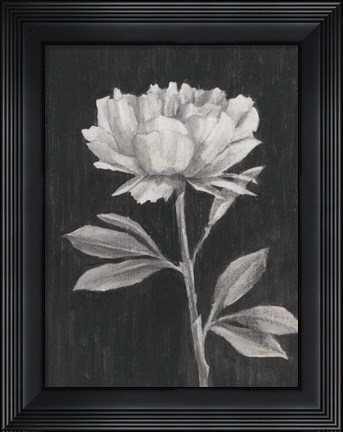 Framed Black and White Flowers III Print