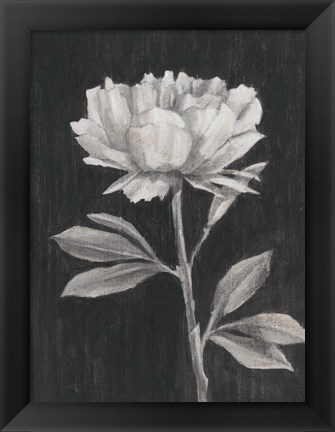 Framed Black and White Flowers III Print