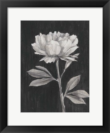 Framed Black and White Flowers III Print