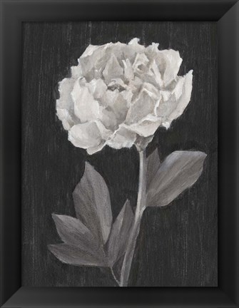 Framed Black and White Flowers IV Print