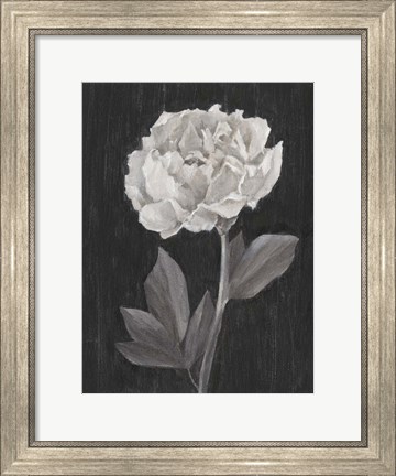 Framed Black and White Flowers IV Print