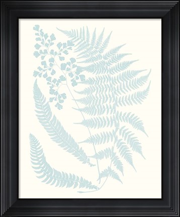 Framed Serene Ferns II Print