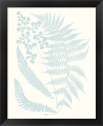 Framed Serene Ferns II Print