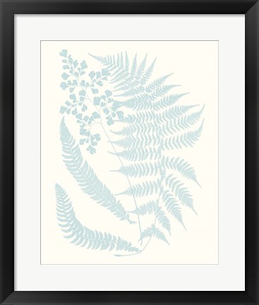 Framed Serene Ferns II Print