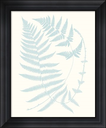Framed Serene Ferns III Print