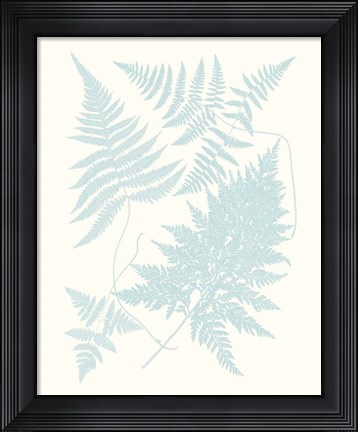 Framed Serene Ferns IV Print