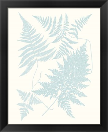 Framed Serene Ferns IV Print