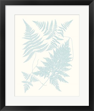 Framed Serene Ferns IV Print