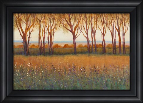 Framed Glow in the Afternoon I Print