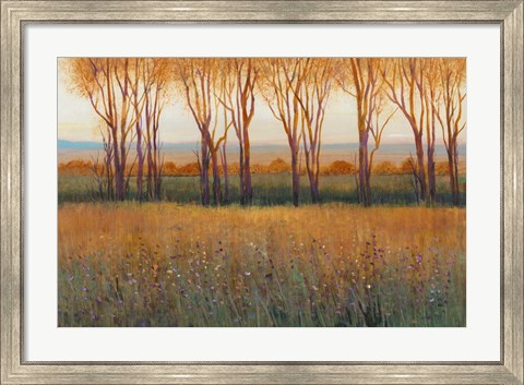 Framed Glow in the Afternoon II Print