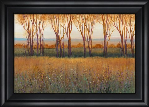 Framed Glow in the Afternoon II Print