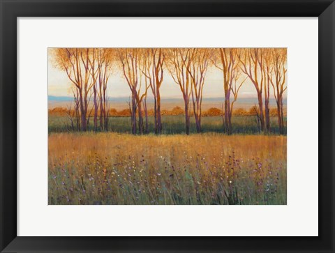 Framed Glow in the Afternoon II Print