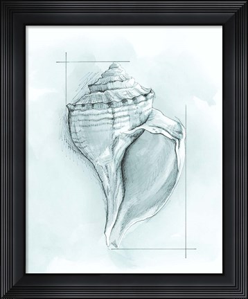 Framed Coastal Shell Schematic I Print