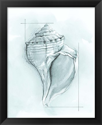 Framed Coastal Shell Schematic I Print