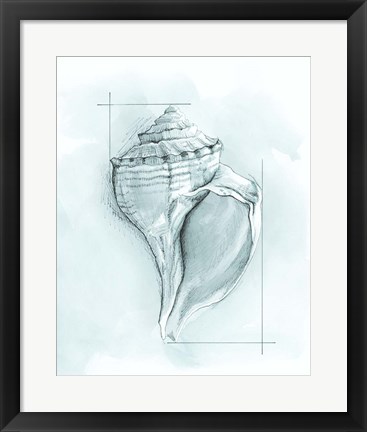 Framed Coastal Shell Schematic I Print