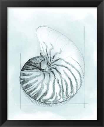 Framed Coastal Shell Schematic II Print