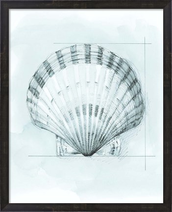 Framed Coastal Shell Schematic III Print