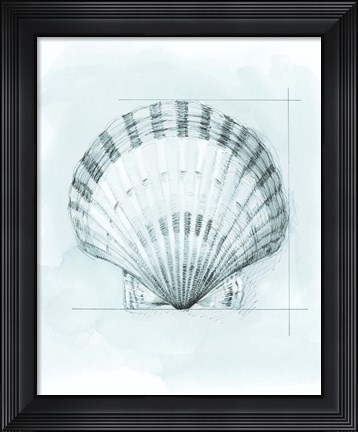 Framed Coastal Shell Schematic III Print
