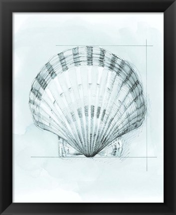 Framed Coastal Shell Schematic III Print