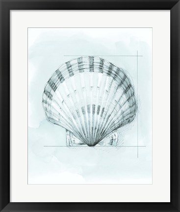 Framed Coastal Shell Schematic III Print