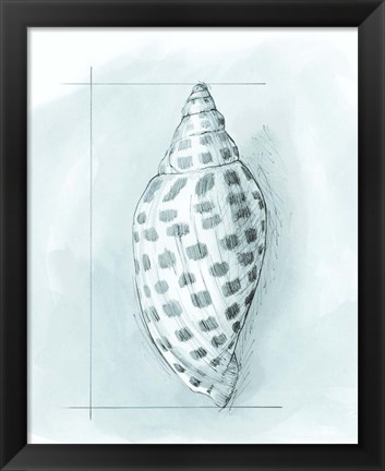Framed Coastal Shell Schematic IV Print