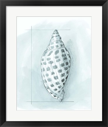 Framed Coastal Shell Schematic IV Print