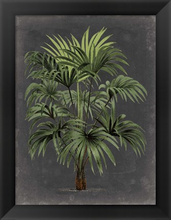 Framed Dramatic Palm I Print