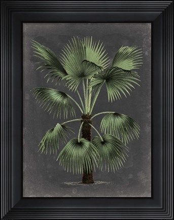 Framed Dramatic Palm II Print