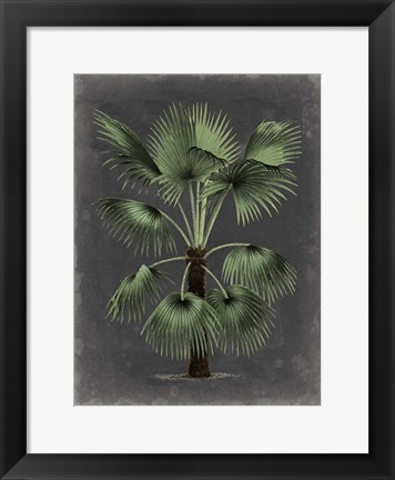 Framed Dramatic Palm II Print