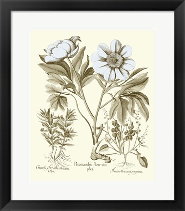 Framed Spa Peonies IV Print