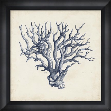 Framed Coral Trio in Indigo I Print