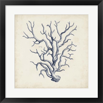 Framed Coral Trio in Indigo III Print