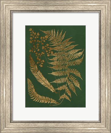 Framed Gilded Ferns I Print