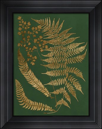 Framed Gilded Ferns I Print