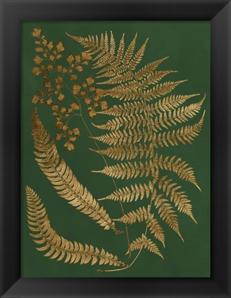 Framed Gilded Ferns I Print