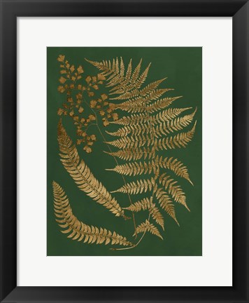 Framed Gilded Ferns I Print