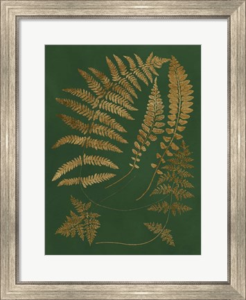 Framed Gilded Ferns III Print