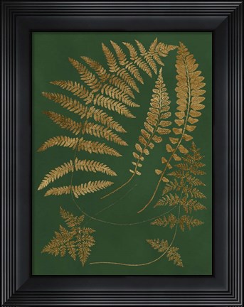 Framed Gilded Ferns III Print