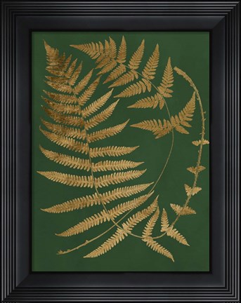 Framed Gilded Ferns IV Print