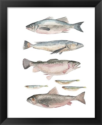 Framed Fish Composition I Print