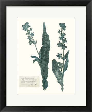 Framed Pressed Flowers in Spa IV Print