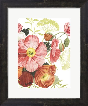 Framed Blossom Solstice I Print