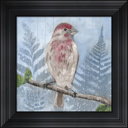 Framed Eastern Songbird I Print