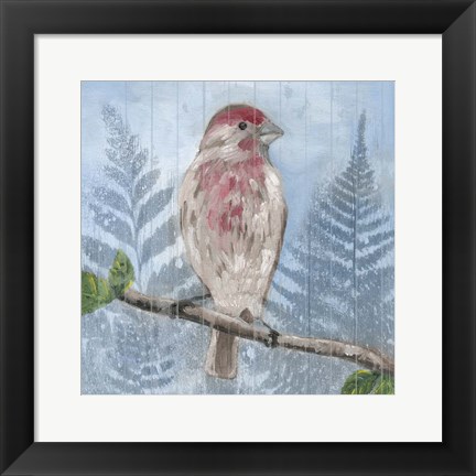 Framed Eastern Songbird I Print