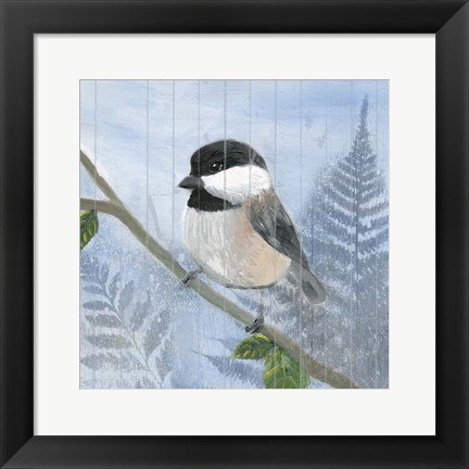 Framed Eastern Songbird II Print